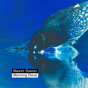 插阴道视频性感网站
