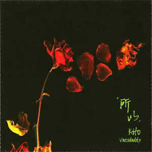 插阴道视频性感网站
